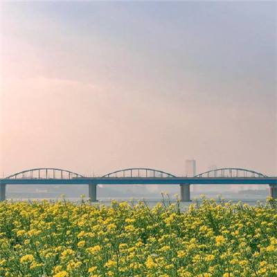 组图｜泉州：“海岸生态卫士”守护千年古桥